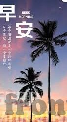 王楠世界杯-王楠世界杯，乒乓女王的荣耀征程